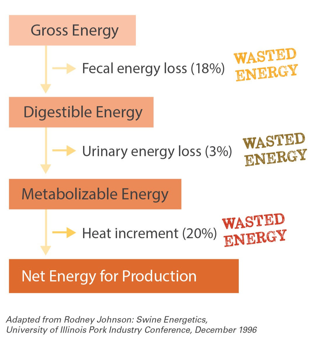 Swine diet net energy formulation