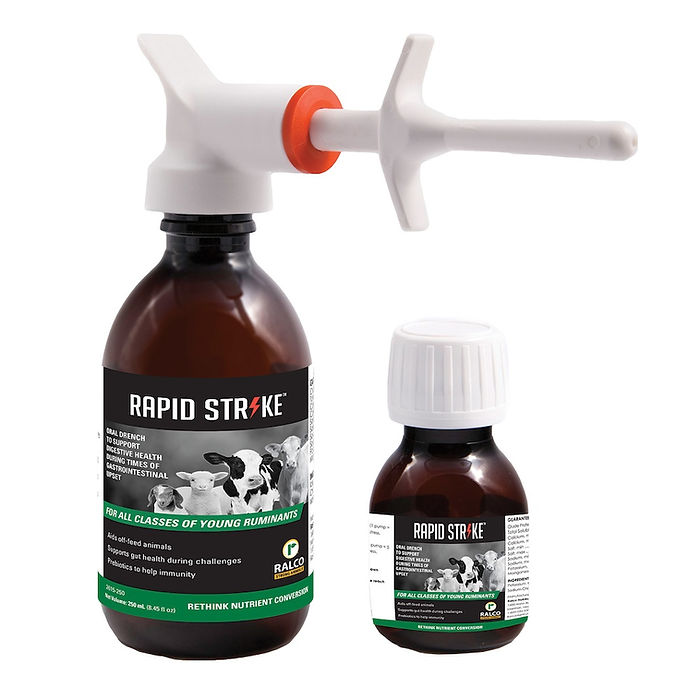 Two brown bottles labeled "Rapid Strike for Cow/Calf" with white and green labels, one featuring a white dosing syringe and the other a white screw cap, formulated for young ruminant health.